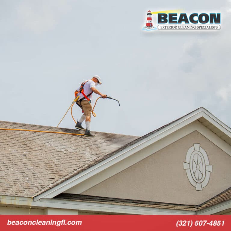 professional roof cleaner in cocoa fl