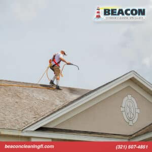 professional roof cleaner in melbourne fl