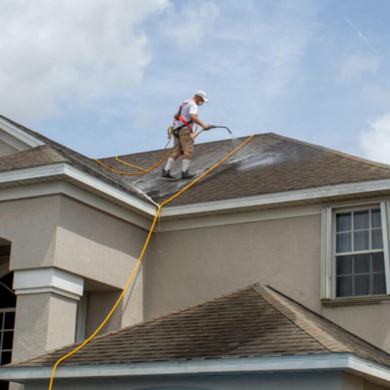 professional roof cleaning service for houses in rockledge fl