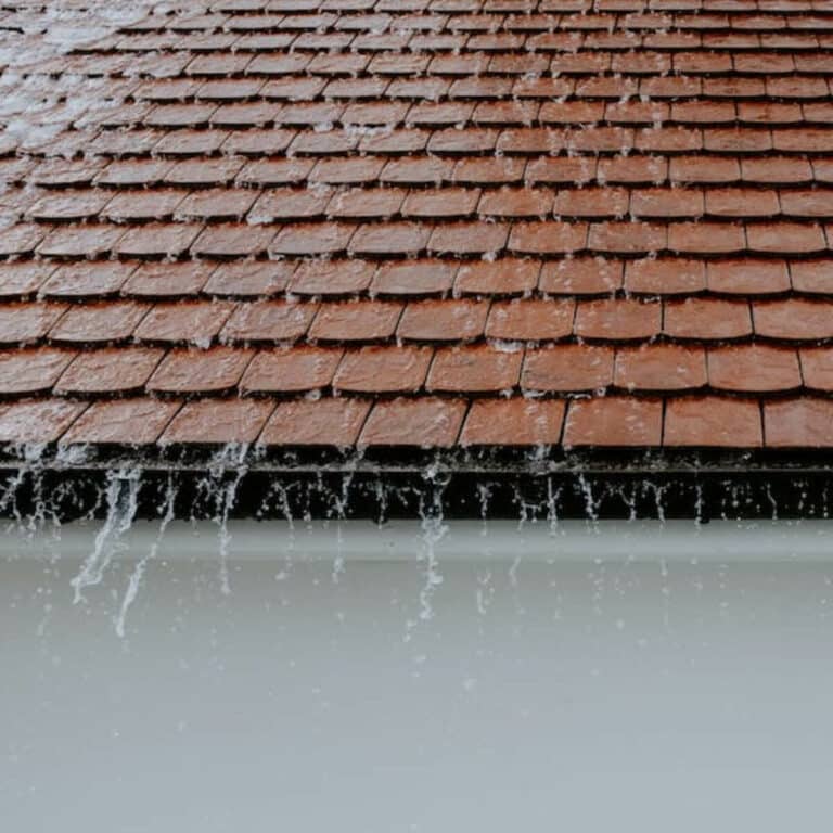 roof washing service in rockledge fl